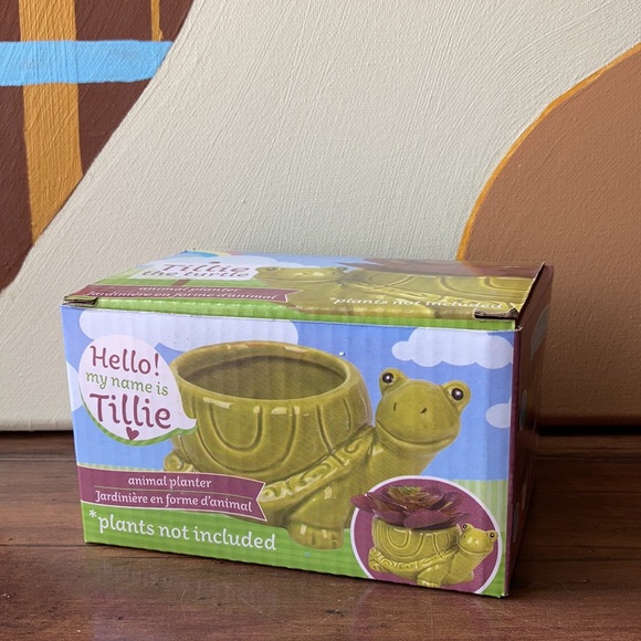 NWT Turtle Ceramic Succulent Planter Tillie the 🐢 - Picture 6 of 8